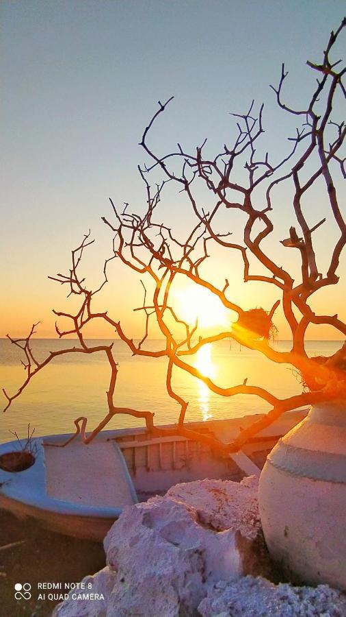 Sea Sound Villa Agios Dimitrios  ภายนอก รูปภาพ