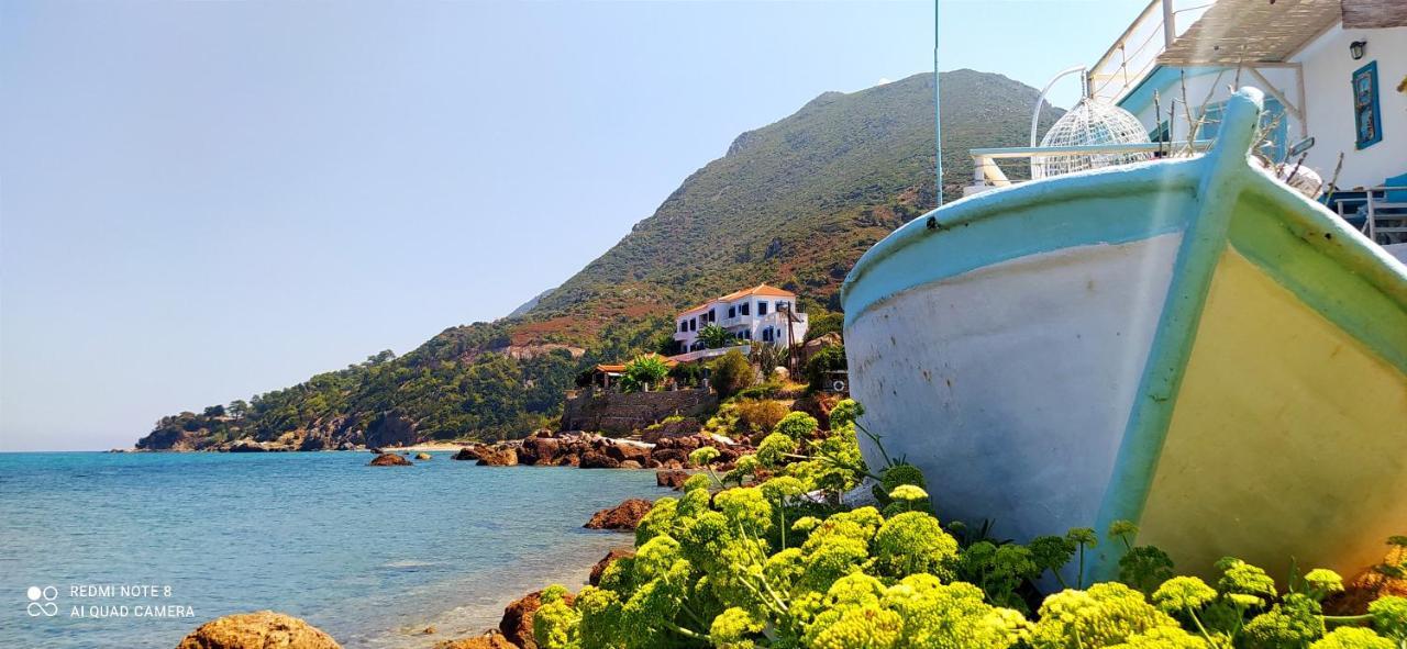 Sea Sound Villa Agios Dimitrios  ภายนอก รูปภาพ